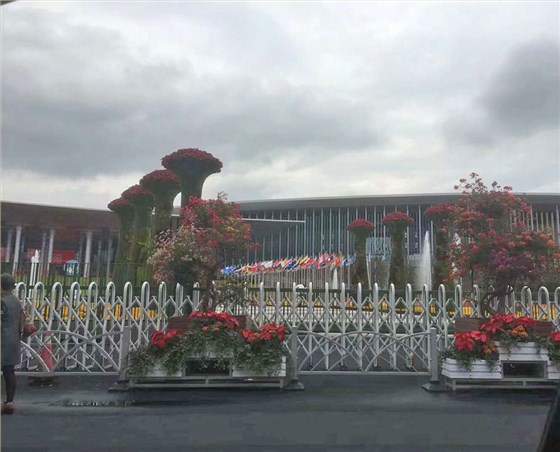 国家进口博览会主会场电动窗帘项目3